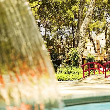 Ulusoy Club - Kids Concept