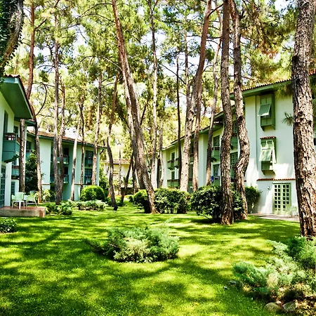 Ulusoy Club - Kids Concept