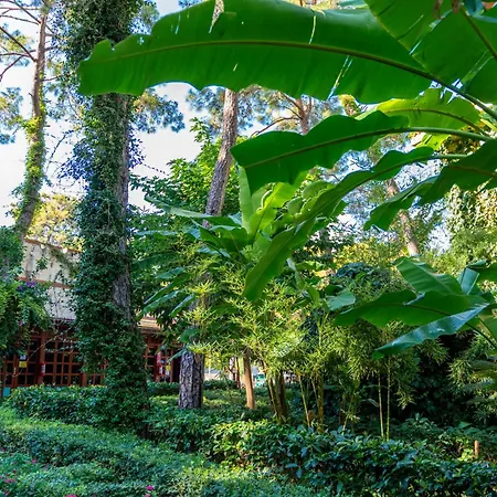 Resort Ulusoy Club - Kids Concept